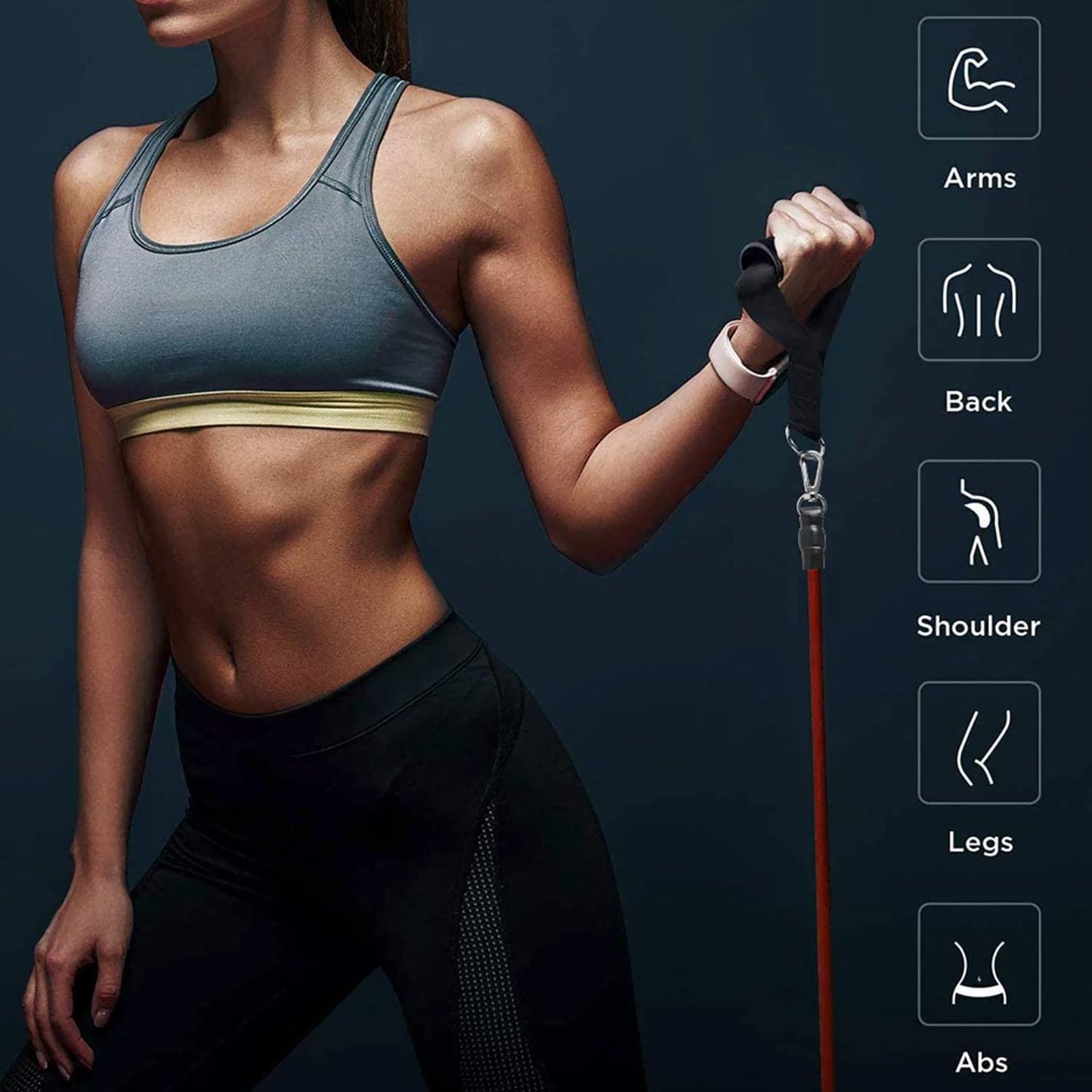 Premium Resistance Bands Set (110 lbs)